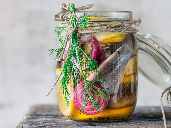 Eingelegter Matjes